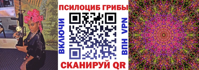 где купить наркоту  Кемерово  Псилоцибиновые грибы Cubensis 